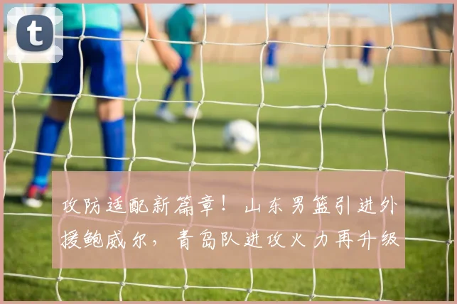 攻防适配新篇章！山东男篮引进外援鲍威尔，青岛队进攻火力再升级
