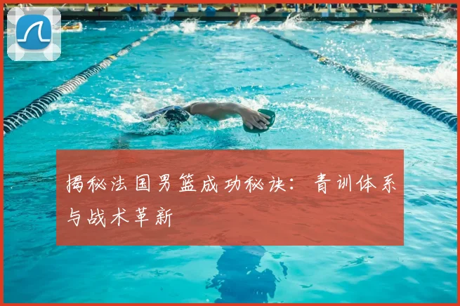 揭秘法国男篮成功秘诀：青训体系与战术革新