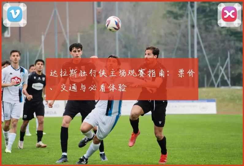 达拉斯独行侠主场观赛指南：票价、交通与必看体验